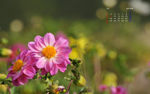 498915 (a): :1920x1200